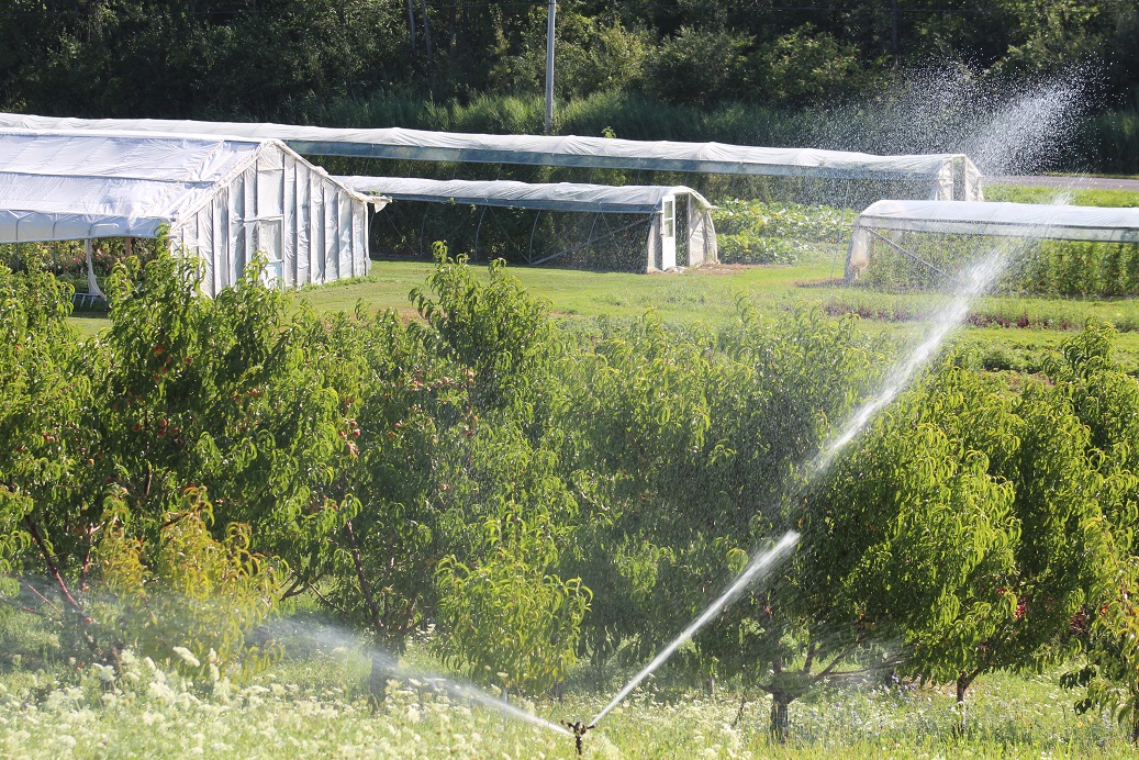 Farm Irrigation