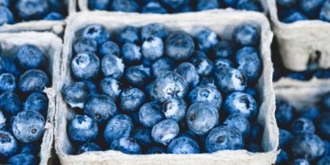 Close up of cartons of blueberries