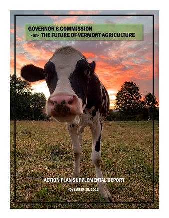Future of Agriculture Action Plan 2022 Supplemental Report