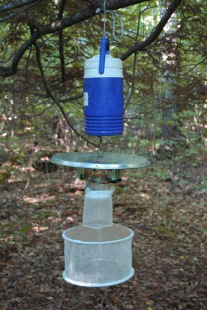 CDC light trap used for mosquito collection