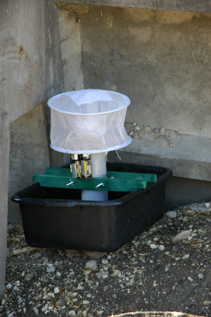 gravid trap used for mosquito collection