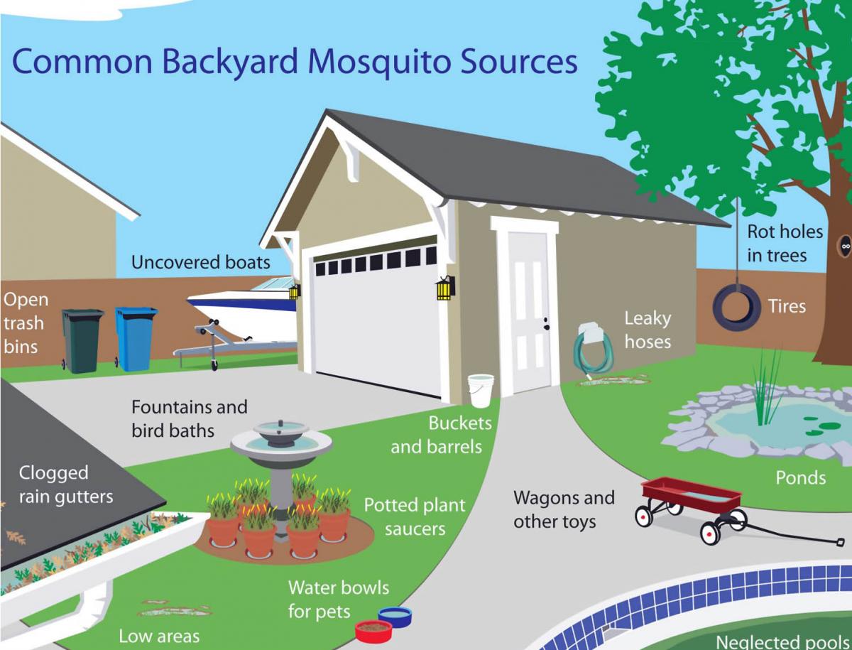 How to deals prevent mosquito