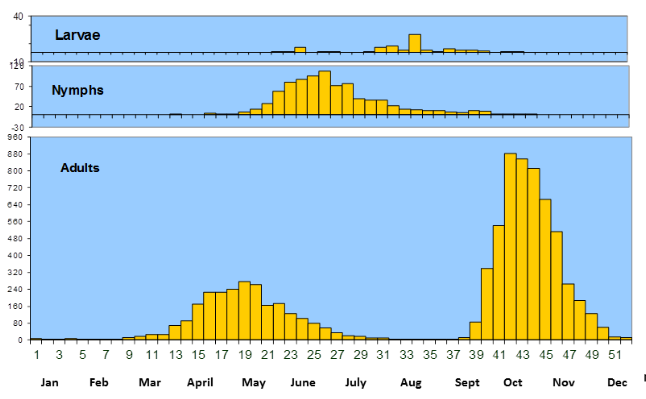 seasonality of ticks graph