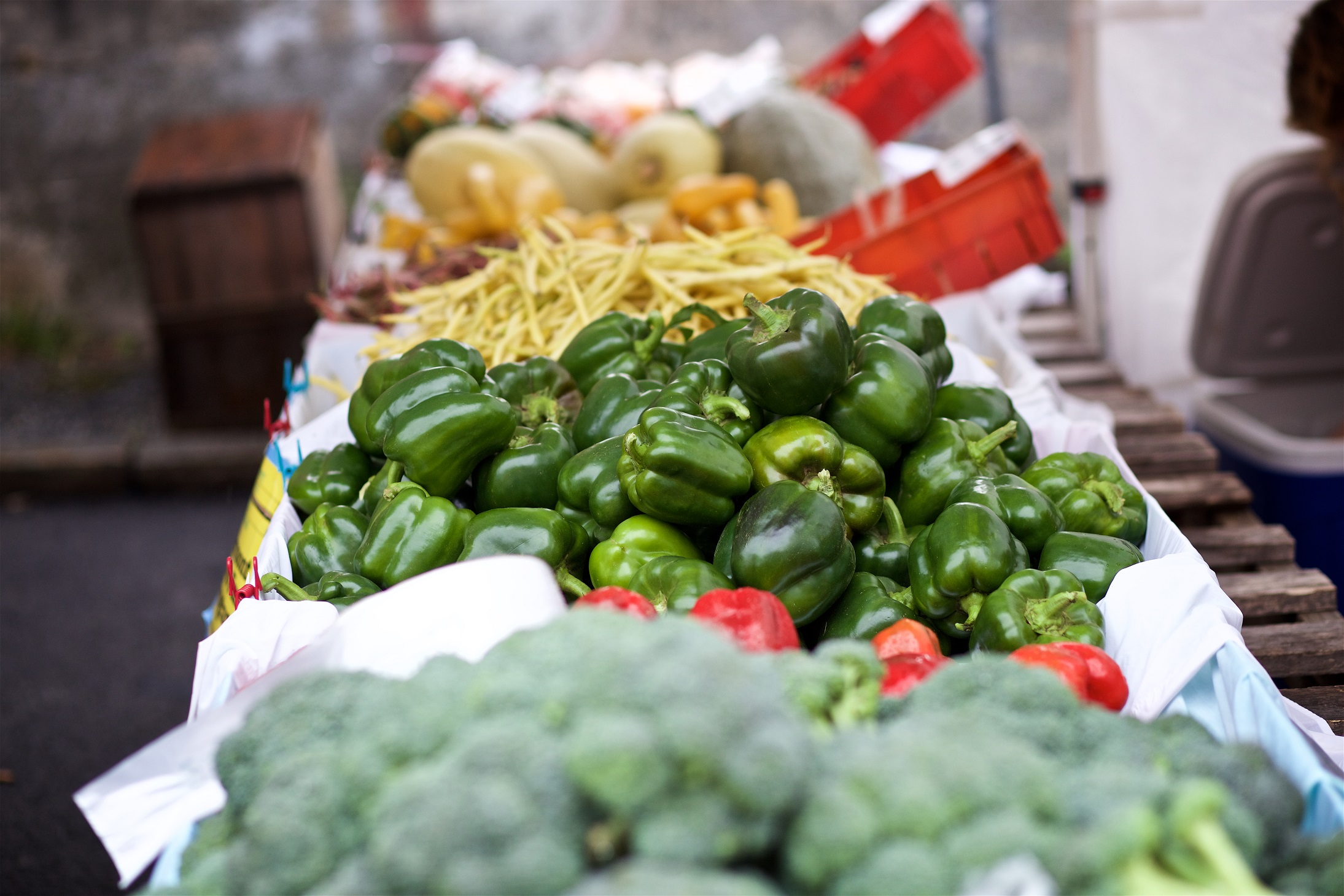 various crop food on table at farmer's market