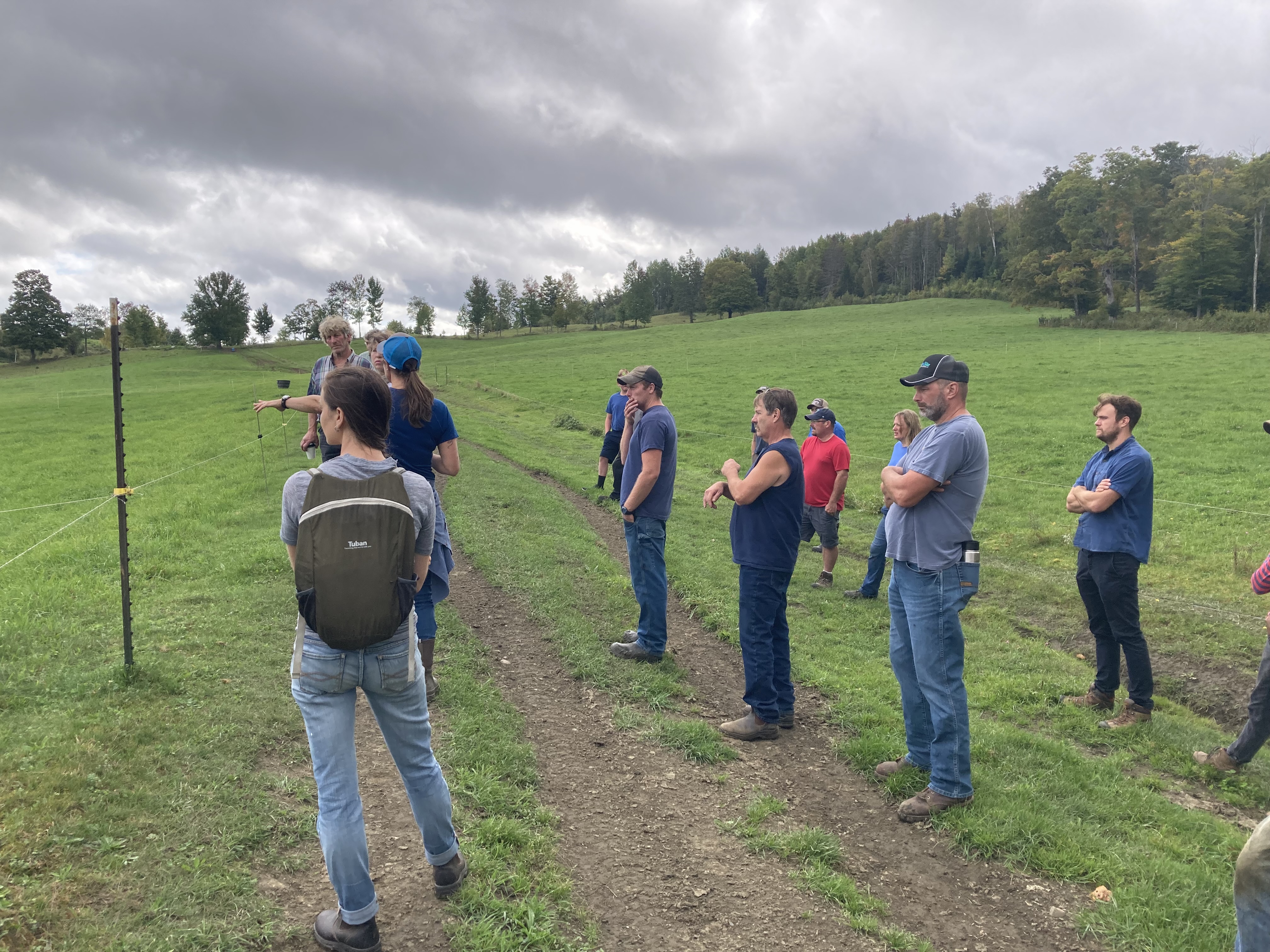 Cohort dairy farmers look out over a pasture.