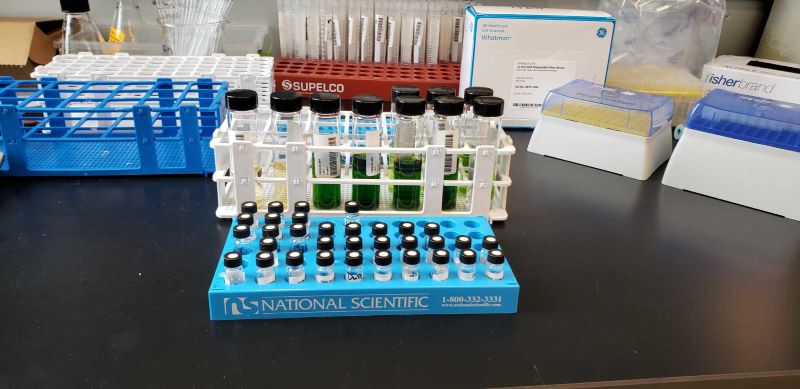 hemp testing scale