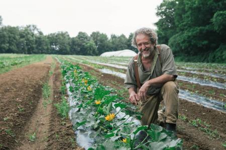 A farmer wearing a plaid shirt, tan pants, and suspenders kneels in a field next to a row of flowering plants.