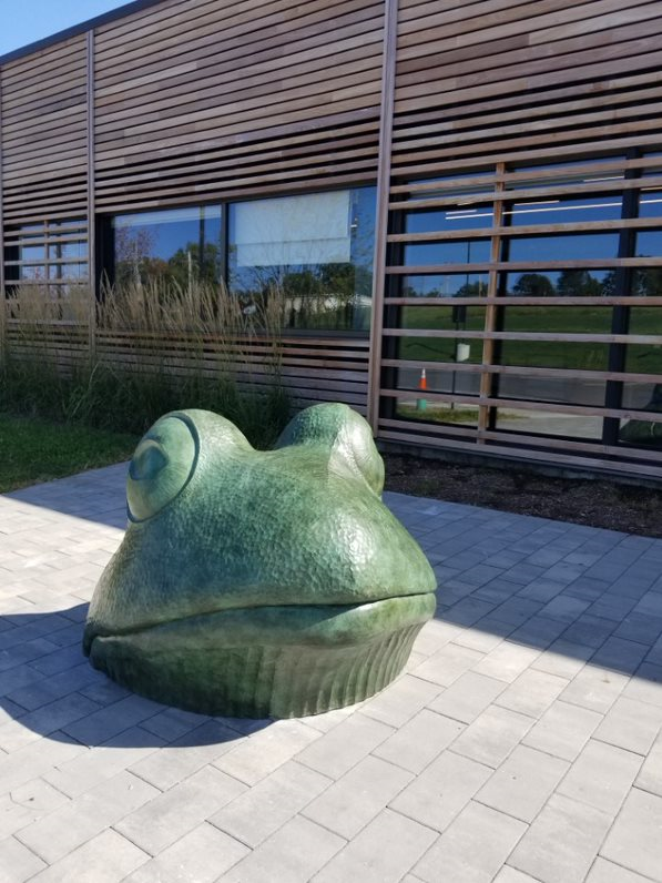 "Big Frog" by Jim Sardonis