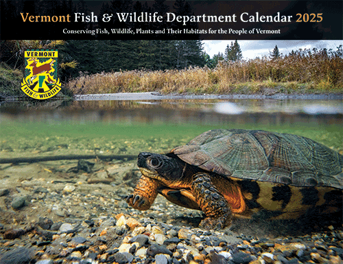 Fish and wildlife calendar