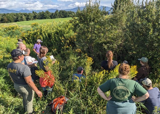 Meeting in a field