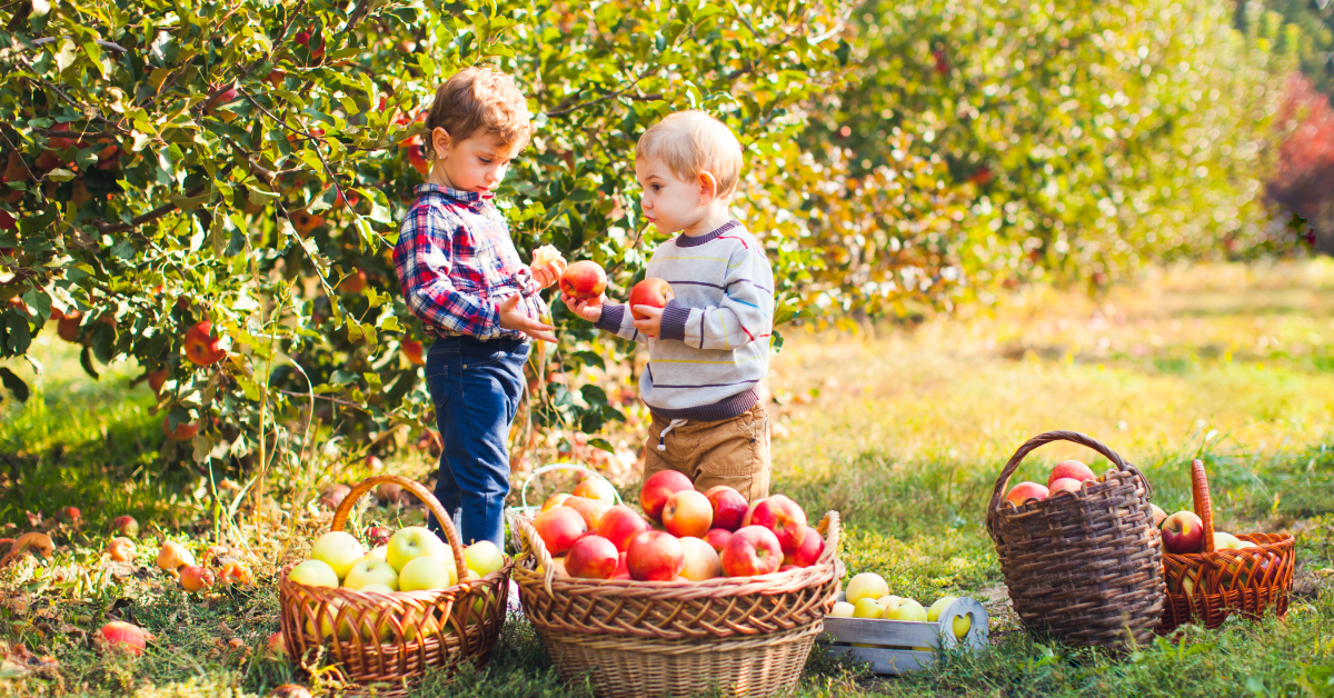 Two children picking apples in the fall