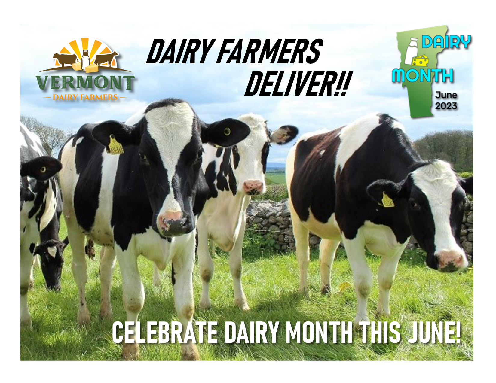 Dairy Month Cows