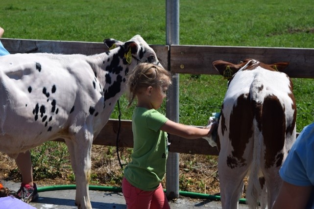 Child with Cow