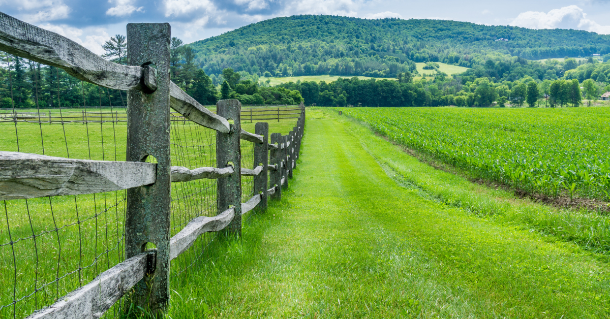 An open green pasture with mountains ahead. There is a fence to the left with a walking trail next to it.