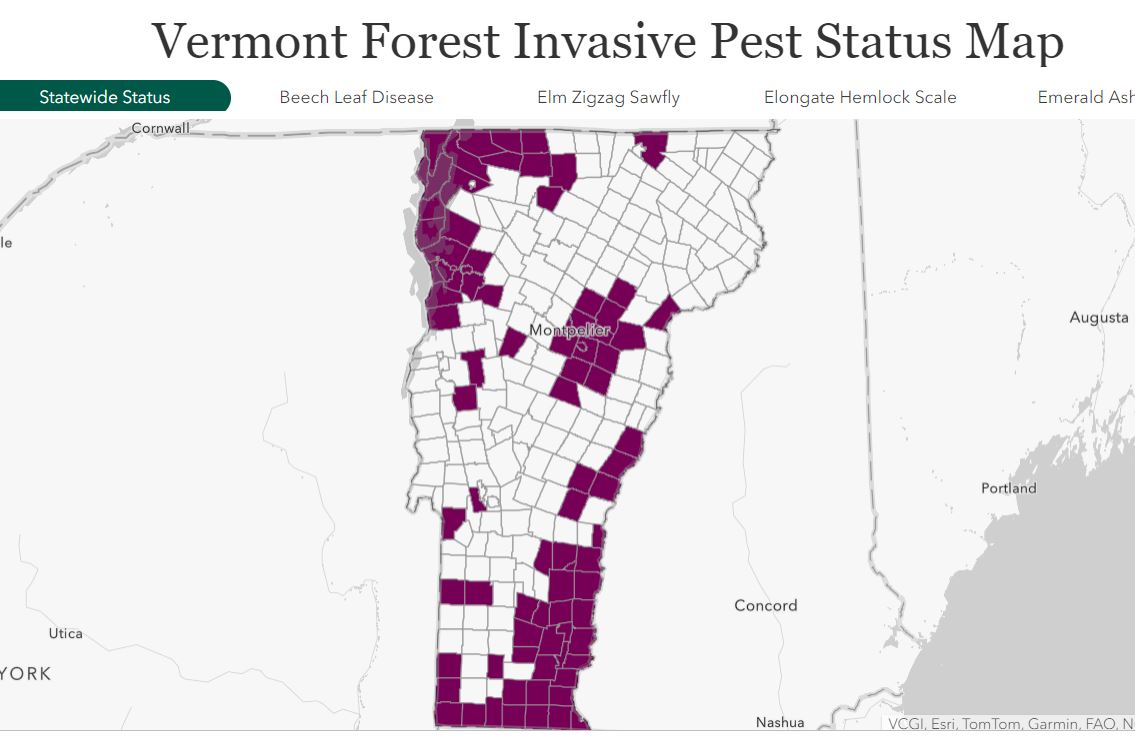 invasive pest map