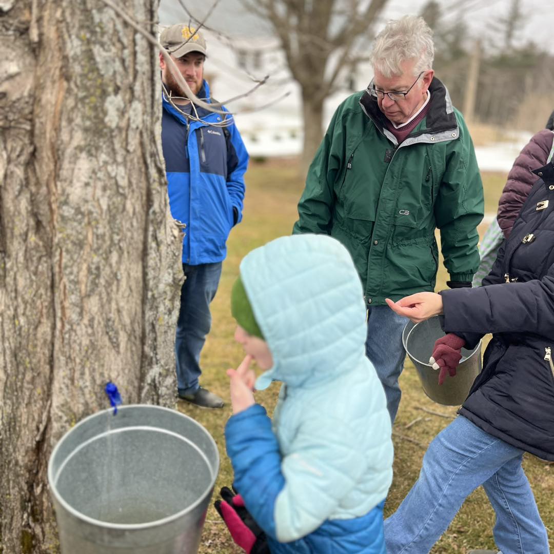 Maple Open House