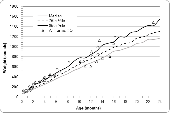 calf health