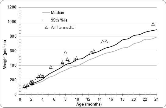 calf health