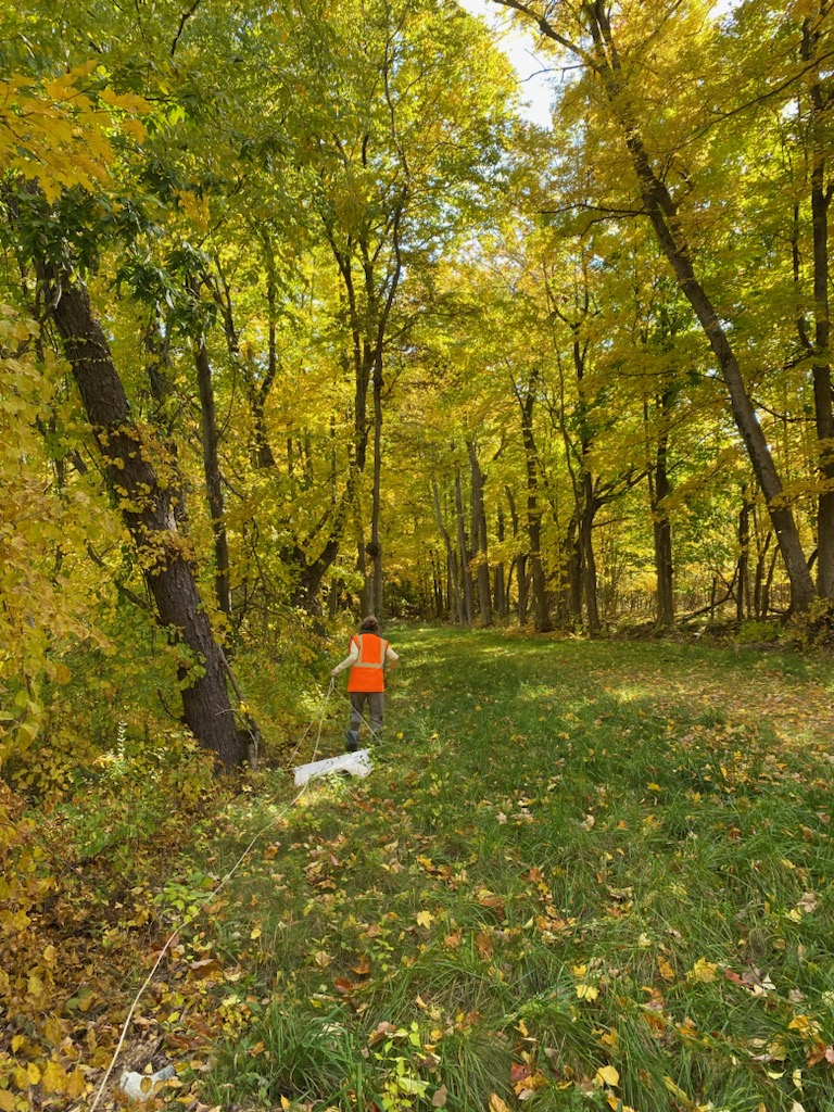 Tick Survey