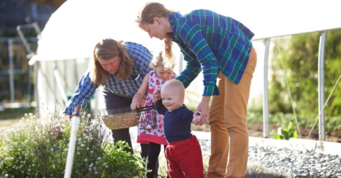 Two farmers teaching a child