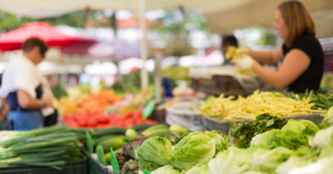 A farmer vending at a farmers market