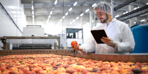 A person is standing in a processing facility holding an ipad in one hand and an apple in the other