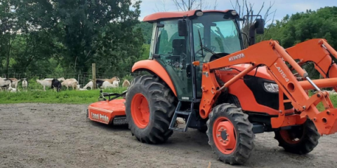 A red tractor on a dirt driveway with a goats in the background