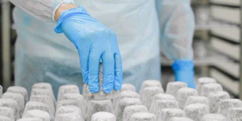 Person wearing blue gloves and an apron holds a unit of cheese above an array of cheeses on a table