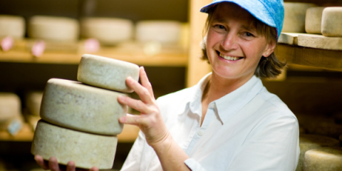 A smiling woman wearing a blue cap and white shirt is holding three wheels of cheese stacked on top of each other. She is standing in a cheese aging room, with shelves of cheese wheels in the background. 