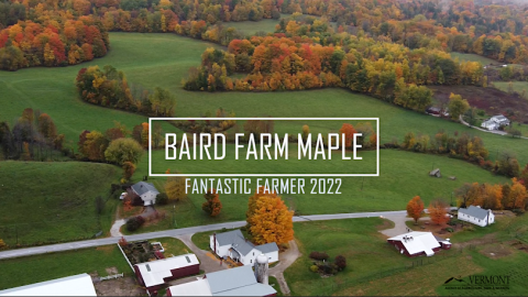Baird Farm Maple