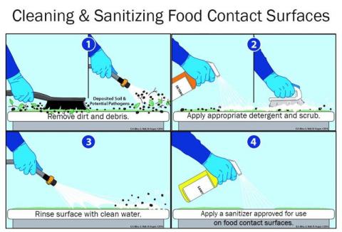 Illustrated diagram a blue gloved hand completing the four-step cleaning and sanitizing process, including removing debris, rinsing, scrubbing, and sanitizing.