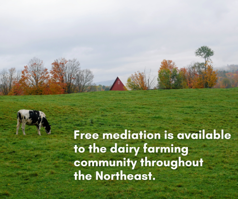 A photo of a black and white cow grazing in a field of green grass with a barn roof and trees visible on the horizon. Free mediation is available to the dairy farming community throughout the Northeast is written in white text on top of the grass.