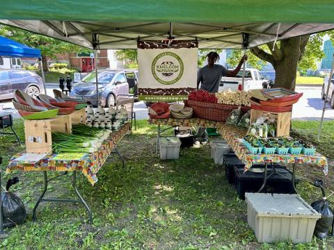 Barre City Farmers Market