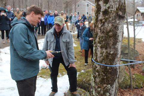Governor Scott 2022 Maple "First Tapping"