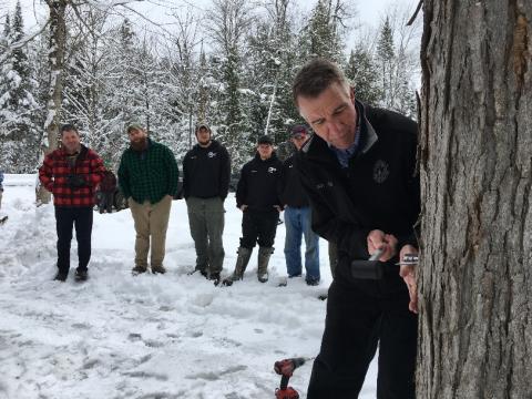 Governor Scott taps first maple of 2018