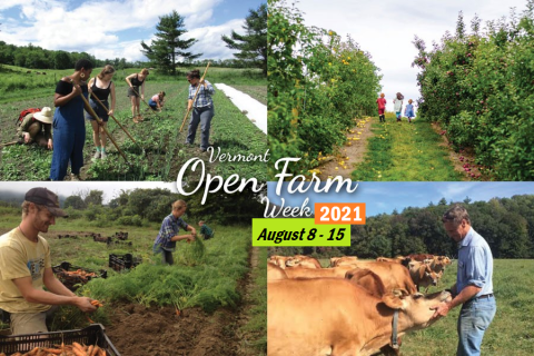 Open Farm Week 2021
