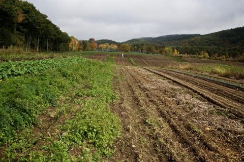 rural farm