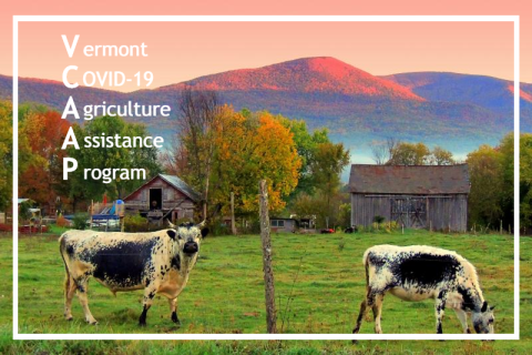Vermont COVID-19 Agriculture Assistance Program
