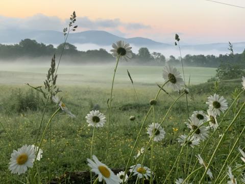 Vermont field
