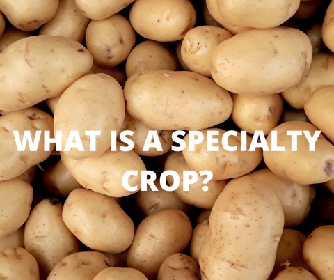 What Is A Specialty Crop?