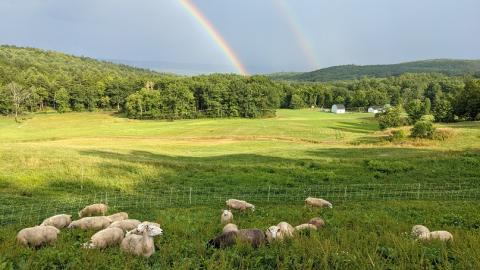 Vermont Agriculture and Working Lands