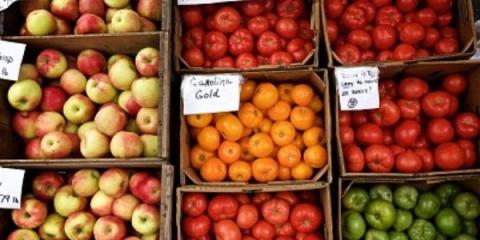 A close-up photo of crates of apples red and green apples and red, orange, and green tomatoes on display