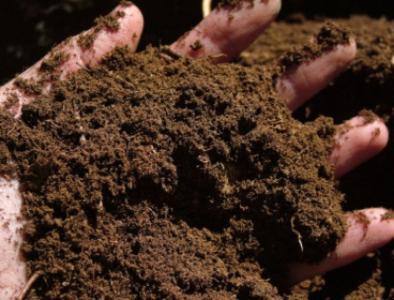 Fertilizer and soil
