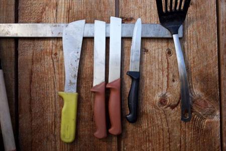 Harvest knives and other tools hanging from magnetic rack against a wood wall