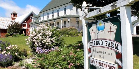 A close-up of a sign advertising an on-farm bed and breakfast with purple flowers and a white house in the background