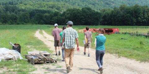 An image of four people walking on a dirt path through a vegetable farm on a sunny day