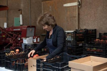 A farmer wearing a black long sleeve top and a navy blue apron sorts tomatoes into black plastic crates on a table in a barn.