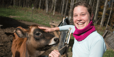 Woman petting a brown cow at a farm. 