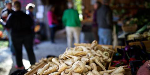 Shopping at a farm stand