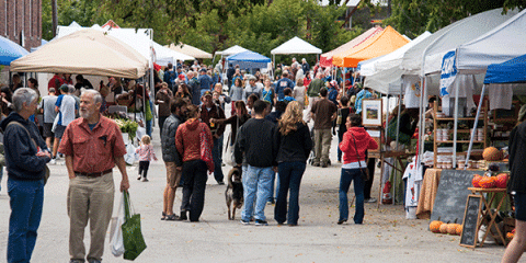 Bustling farmers market